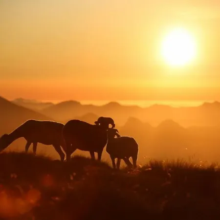 T2 Avec Coin Nuit, Face Telecabine, 4 Pers, Plein Centre, - Fr-1-401-7 * Cauterets